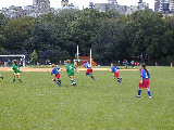 Click to see P9160007.JPG